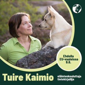 Tuire kaimio
