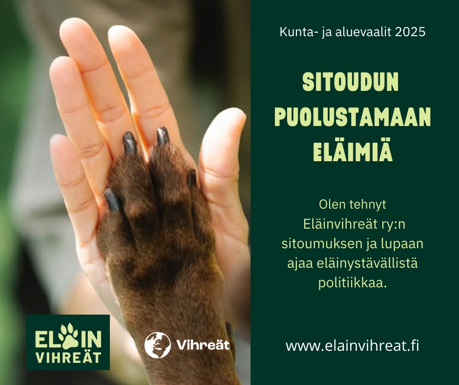 Kerro sitoumuksestasi